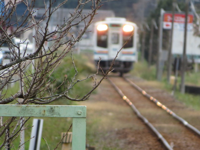 05CC5EC5-DDA7-4429-A8BF-85935530966A.jpeg