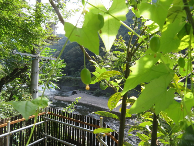 2012E482-FEDC-458A-9475-B9A93D723371.jpeg